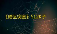 《暗区突围》S12K子弹推荐指南